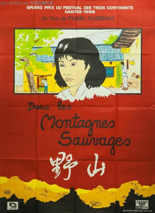 办假的圭亚那签证
